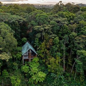 Rose Gums Wilderness Retreat Βίλα Butchers Creek Exterior photo