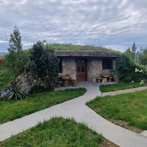 Hobbit Eco House -Zdrelo Bed and Breakfast Petrovac na Mlavi Exterior photo