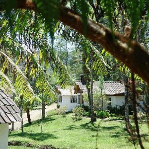 Posada Montana Del Quetzal Ξενοδοχείο Cobán Exterior photo