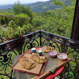 La Collina Olistica Bed and Breakfast Tregnago Exterior photo