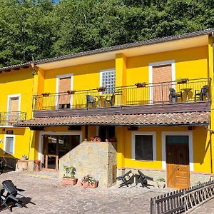 Casa Elisabetta Bosco Magnano Ξενοδοχείο San Severino Lucano Exterior photo