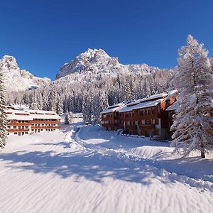 Petit Arnica Διαμέρισμα Selva di Cadore Exterior photo