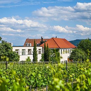 Wirtshaus Leindl Ξενοδοχείο Krems an der Donau Exterior photo