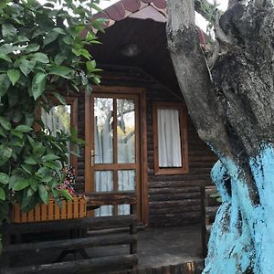 Zeytindagi Bungalow Ξενοδοχείο Mehmetalani Exterior photo