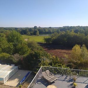 Gite La Pironniere - Piscine, Nature, Au Bord De La Riviere Βίλα Montreuil-sur-Maine Exterior photo