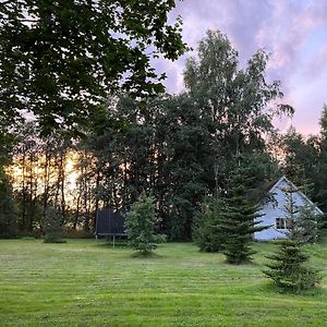 Сottage Under The Trees Βίλα Rajakula Exterior photo