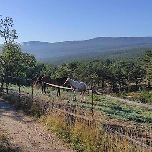 Domaine Du Cruvelet Grand Gite Ξενοδοχείο Trigance Exterior photo