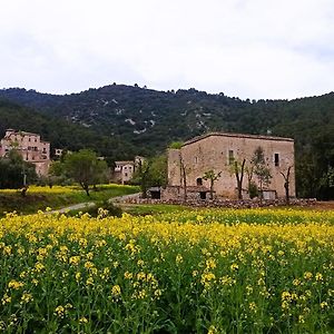 El Castell De Seguero Διαμέρισμα Beuda Exterior photo