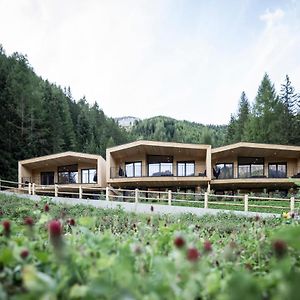 Stelza Nature Chalet Βίλα Val di Vizze Exterior photo