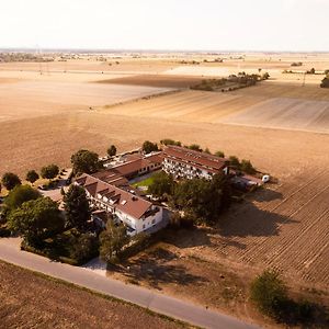 Hotel Birkenhof Χαϊδελβέργη Exterior photo