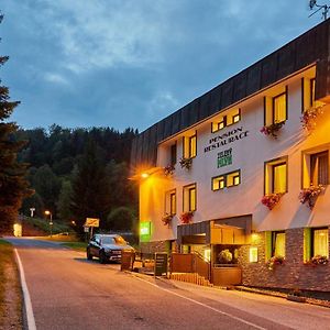 Pension & Restaurace Zeleny Mlyn Zacler Ξενοδοχείο Exterior photo