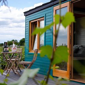 Tiny House In The Vineyard By Gramofon Wine Ξενοδοχείο Iordachianu Exterior photo