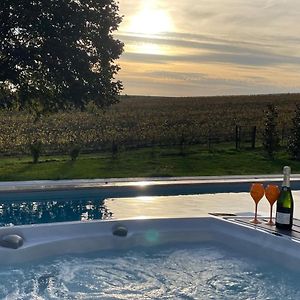 Best View, Pool And Spa On The Champagne Vineyard Διαμέρισμα Saint-Thierry Exterior photo