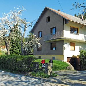 Haus Hollerbusch Διαμέρισμα Neunburg vorm Wald Exterior photo