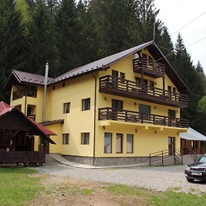 Complex Turistic Roua Muntilor Vila 1 Bed and Breakfast Podu Dimbovitei Exterior photo