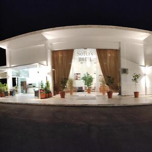 Sofias Hotel Ιωάννινα Exterior photo