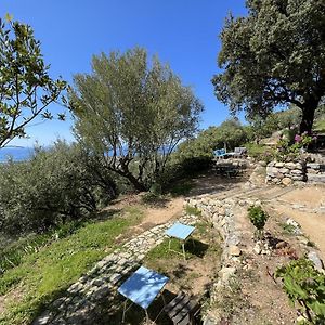 Casa Musicale Ξενοδοχείο Pigna Exterior photo