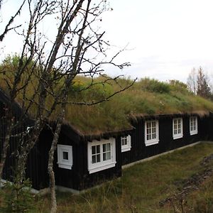 Gala Fjellhytte - Cabin With Sauna And Whirlpool Tub Βίλα Sør-Fron Exterior photo