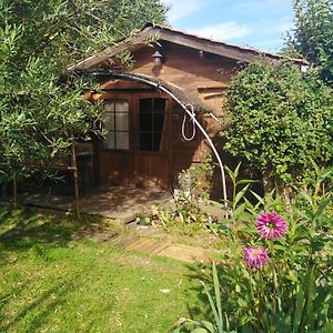 Le Chalet Du Jardin Cache Ξενοδοχείο Marmande Exterior photo