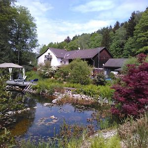 Urlaubspension Die Muehle Ξενοδοχείο Schöllnach Exterior photo