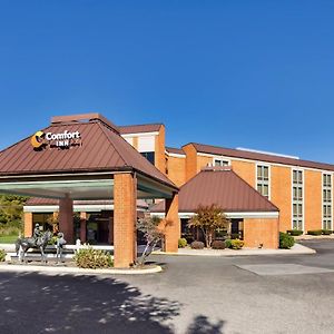 Comfort Inn Virginia Horse Center Λέξινγκτον Exterior photo