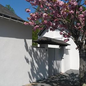 Chambre Et Salon Sur La Loire A Velo Ξενοδοχείο Les Ponts-de-Cé Exterior photo