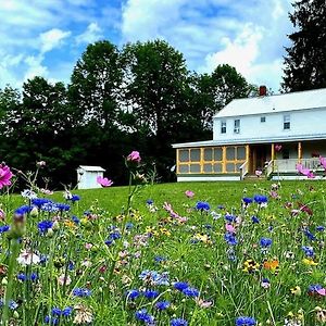 French Woods Farmhouse Catskills Upper Delaware River Hancock Ny Βίλα Exterior photo