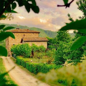 La Teggia Διαμέρισμα Monte San Pietro Exterior photo