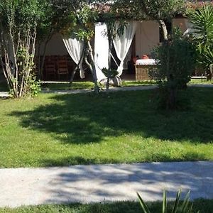 Giardino Del Sole Bed and Breakfast Όλμπια Exterior photo