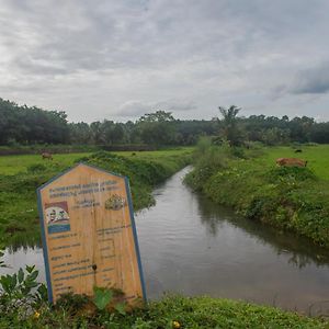 Afrika House By Afrind Hospitality Διαμέρισμα Kochi Exterior photo