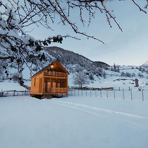 Wood House ξενώνας Μέστια Exterior photo