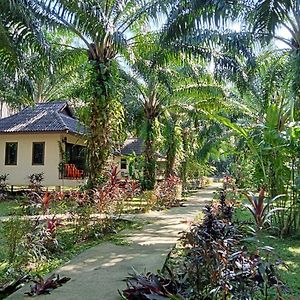 Khao Sok Palm Garden Resort Khao Sok National Park Exterior photo