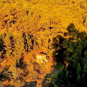 Tiny House Vogelnest Βίλα Πούντα Γκόρντα Exterior photo