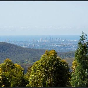 Spectacular Gold Coast Skyline Views Ξενοδοχείο Mount Tamborine Exterior photo