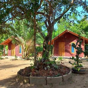 Hotel Chanaya Ambanpola Exterior photo