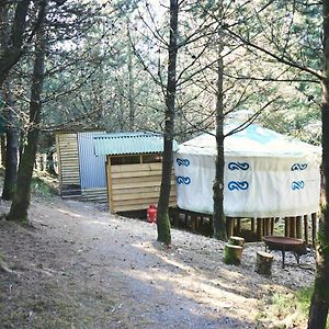 Mushroom Yurt Αμπερίστγουιθ Exterior photo