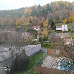 Joli Studio Au Centre D'Uriage Διαμέρισμα Vaulnaveys-le-Haut Exterior photo