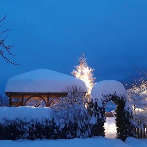 B&B Benvenuti - Dolomiti Di Brenta Tassullo Exterior photo