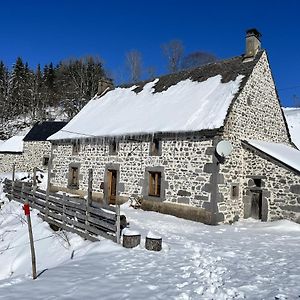 Maison De Campagne Spacieuse A Chastreix Avec Cheminee Βίλα Exterior photo