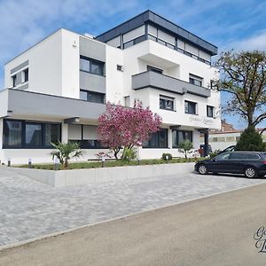 Gaestehaus Zeppelin Ξενοδοχείο Uhingen Exterior photo