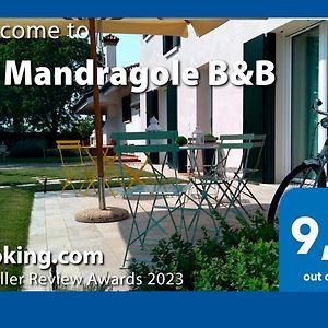 Le Mandragole B&B Roncade Exterior photo