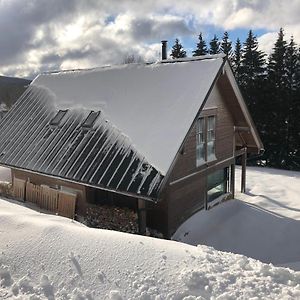 Mountain Chalet Βίλα Kořenov Exterior photo