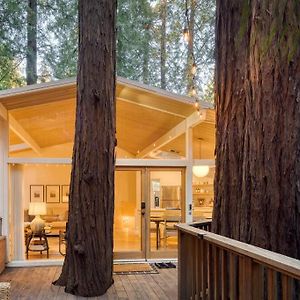 Window To The Redwoods - Near Downtown Mv, Dipsea Trail, & Muir Woods Βίλα Mill Valley Exterior photo