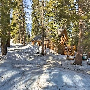 Bear Valley Cabin - Ski To Cross Country Trails! Βίλα Tamarack Exterior photo