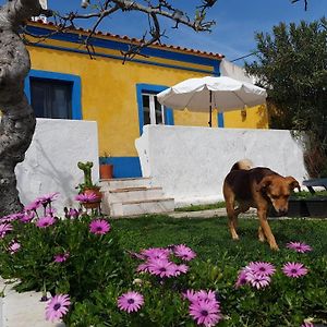 Monte Da Ti Luzia Βίλα Φάρο Exterior photo