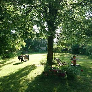 Grange Renovee Et Son Jardin Dans L'Avant Pays Savoyard Βίλα Champagneux Exterior photo