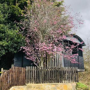 The Cherry Tree Gypsy Wagon Βίλα Μπάνμπουρι Exterior photo