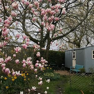 The Wayside Shepherd Hut Βίλα Beaulieu Exterior photo