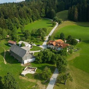 Eco Tourist Farm Ravnjak Βίλα Slovenj Gradec Exterior photo