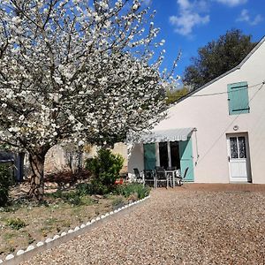 Gite Le Petit Anzan En Indre Et Loire Ξενοδοχείο Noizay Exterior photo